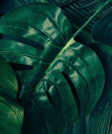 طرح های انتزاعی