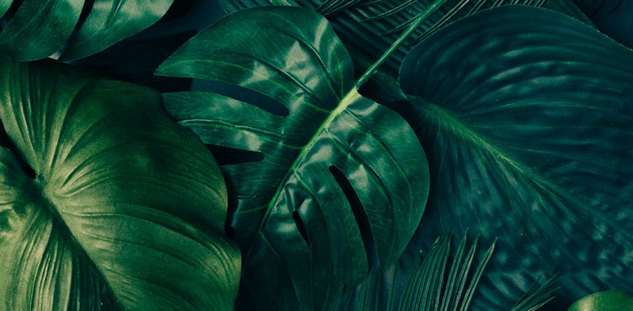 طرح های انتزاعی