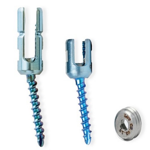 محصول 1 - تصویر 3