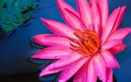 انتخاب مسیر درست