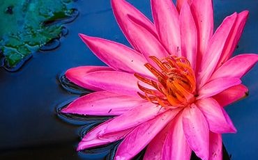 جلسه کاری در اروپا