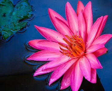 انتخاب مسیر درست