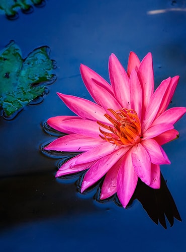 جلسه کاری در اروپا