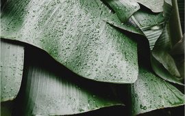 کرم های آرام کننده پوست