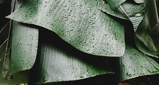 چند دلیل برای خرید کامپیوتر