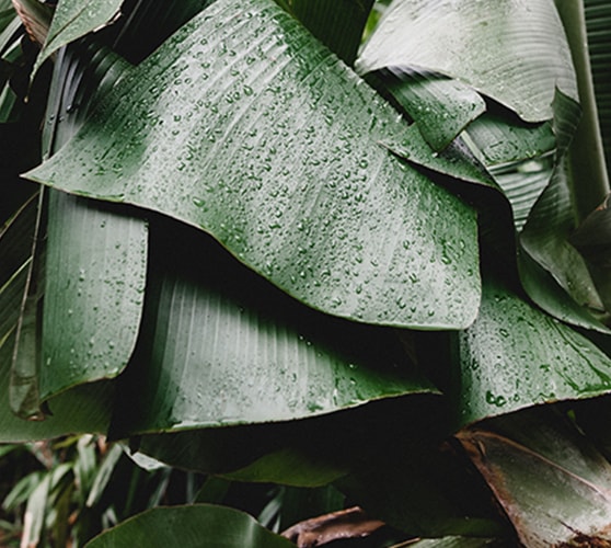 چند دلیل برای خرید کامپیوتر