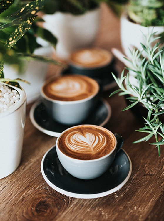 تبلیغات رایگان برای کسب و کار آنلاین شما