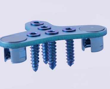 Occipital Plate