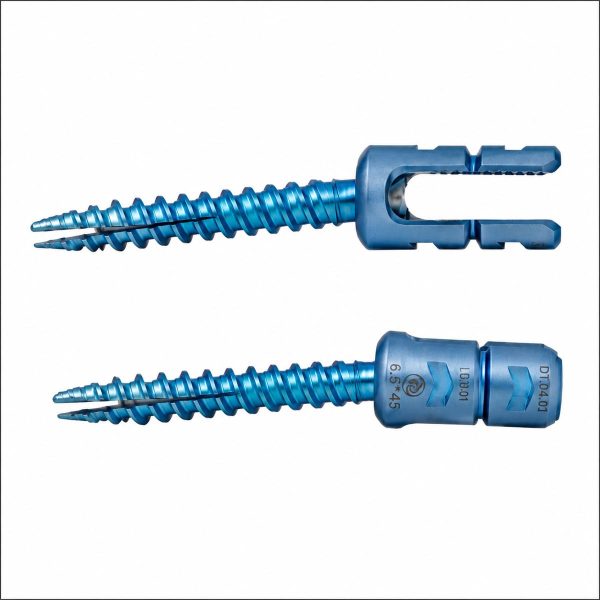 Expandable Pedicle Screw